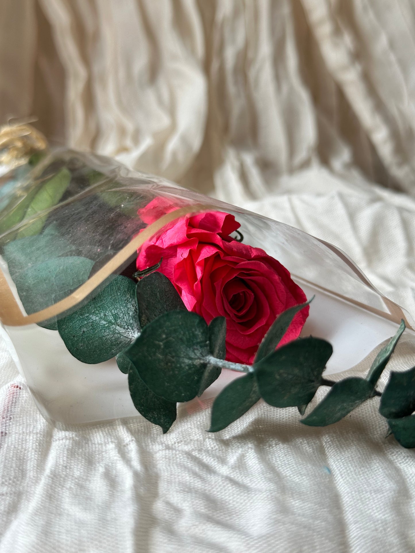 Rosas preservadas