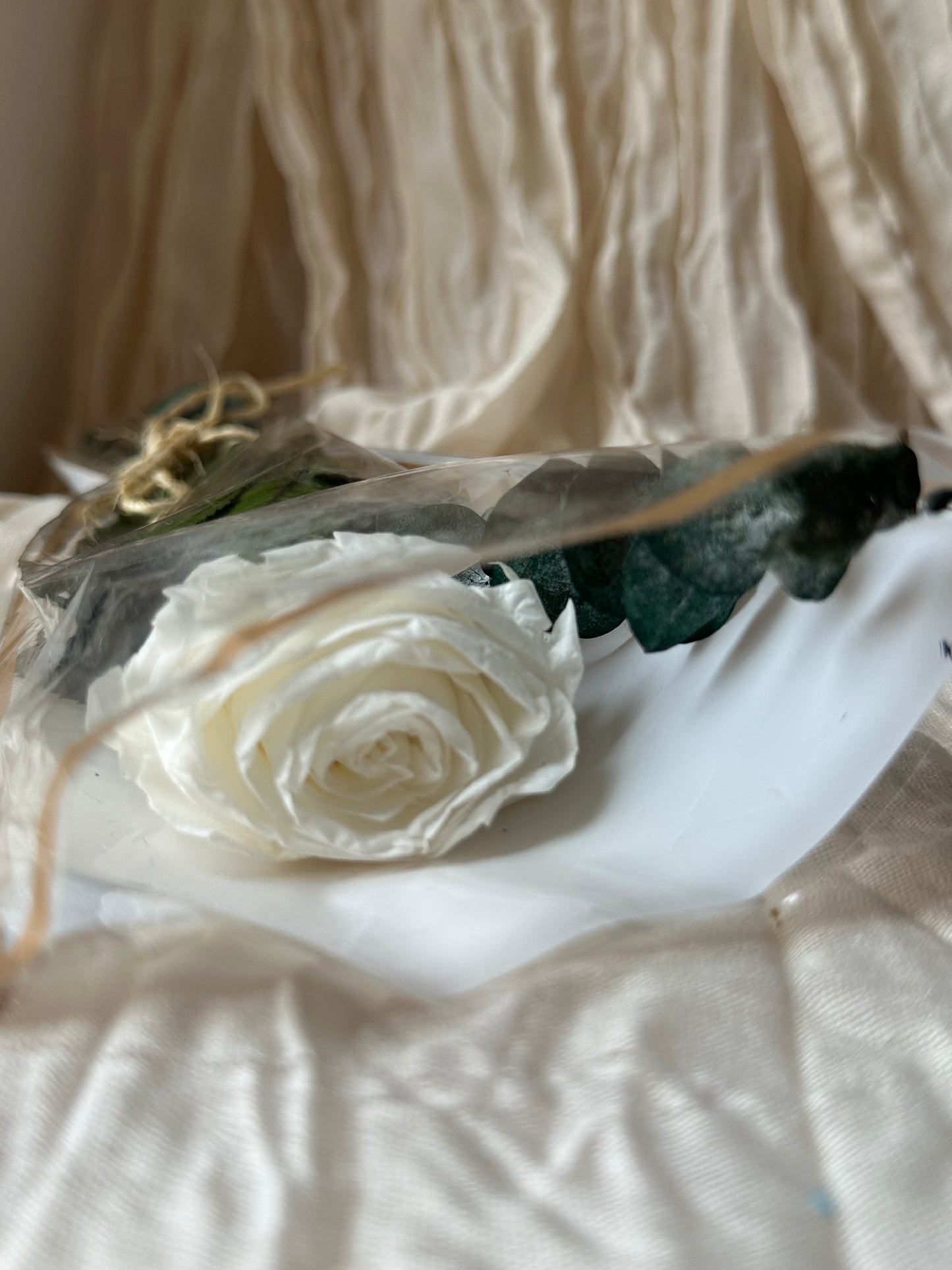 Rosas preservadas