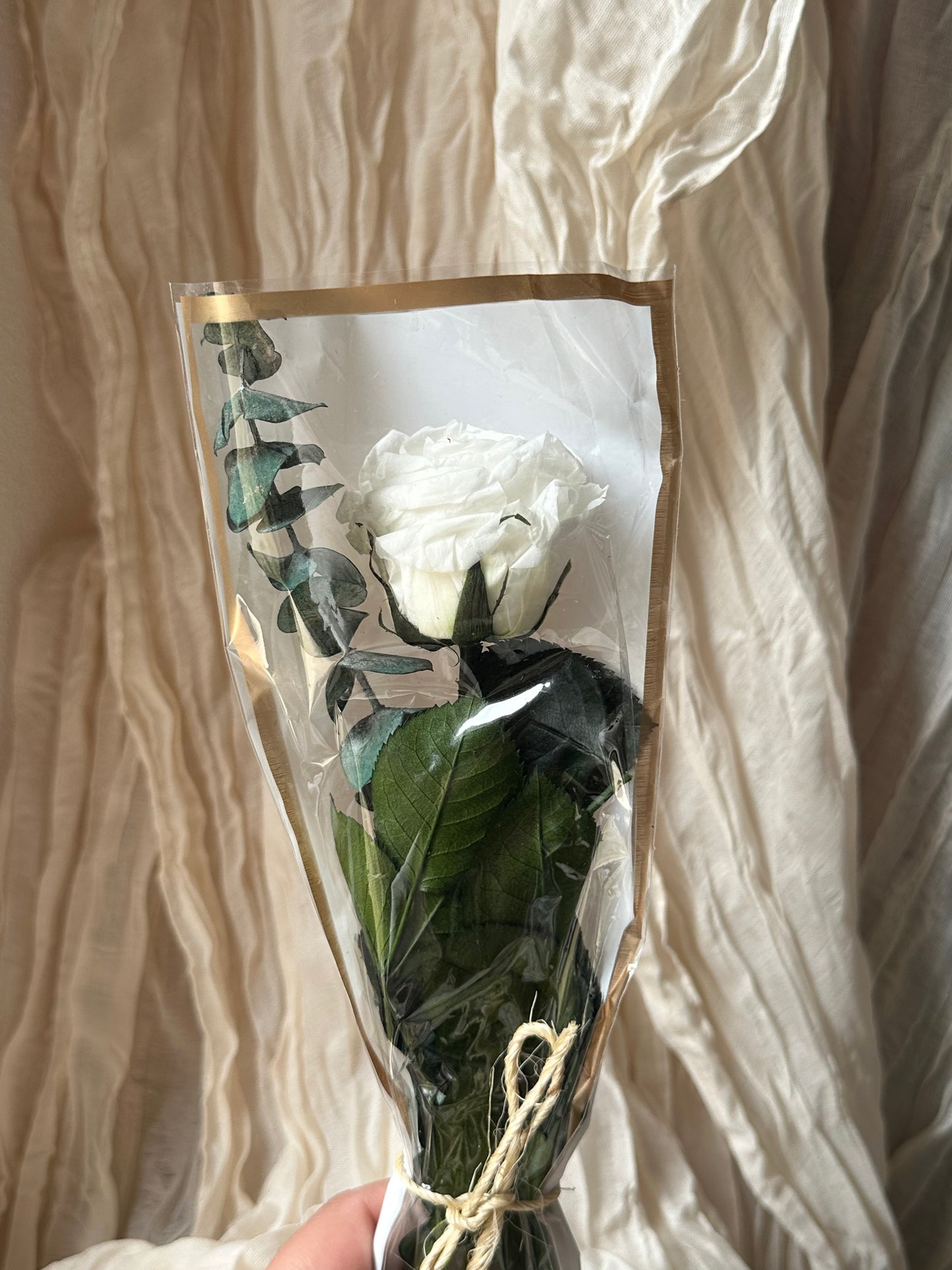Rosas preservadas