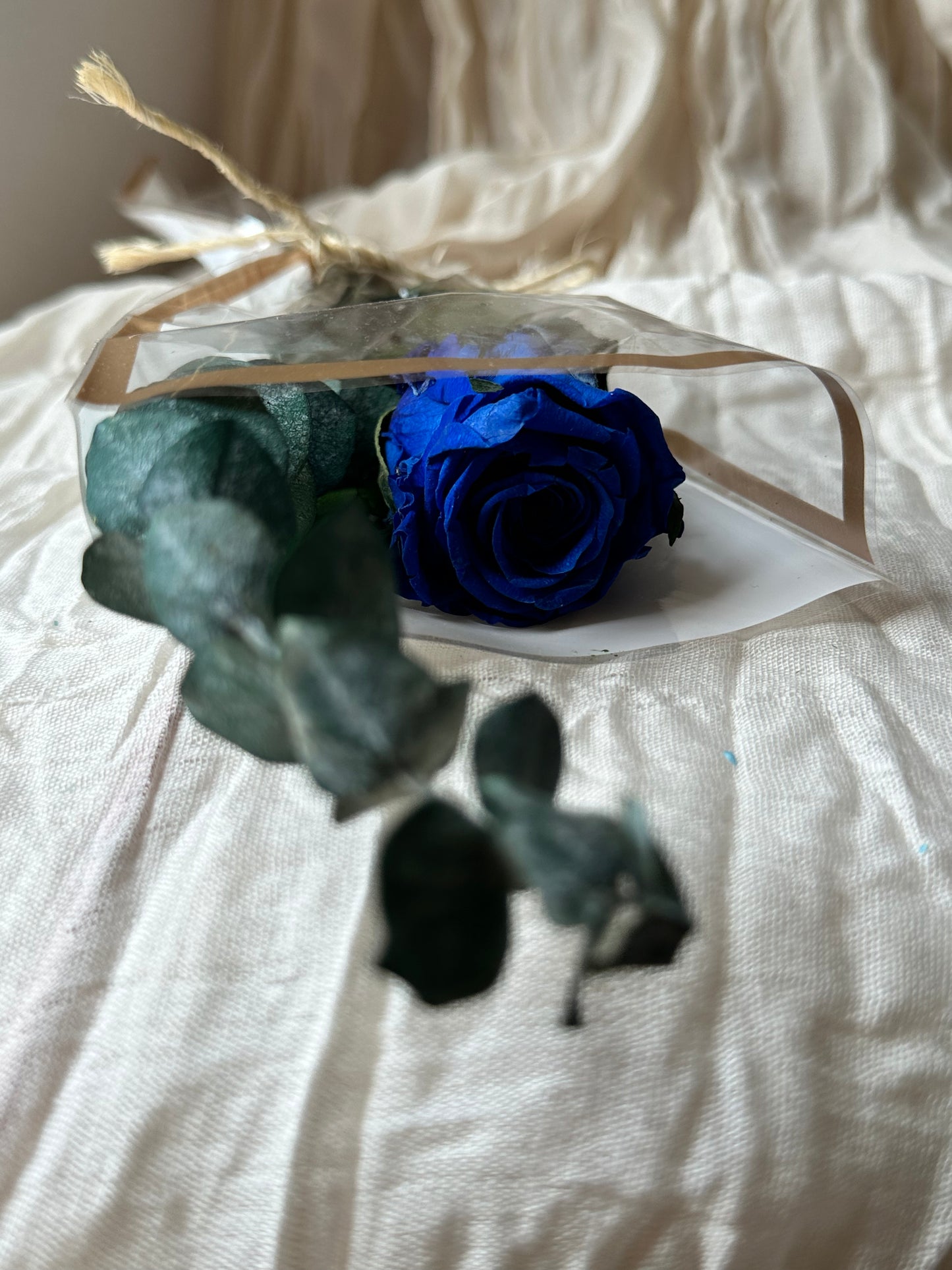 Rosas preservadas