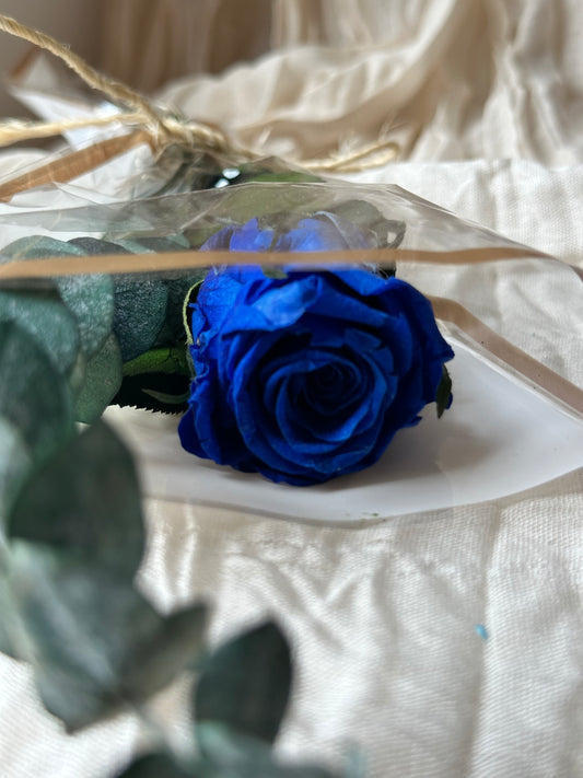 Rosas preservadas